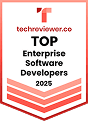 Top Enterprise Software Developers